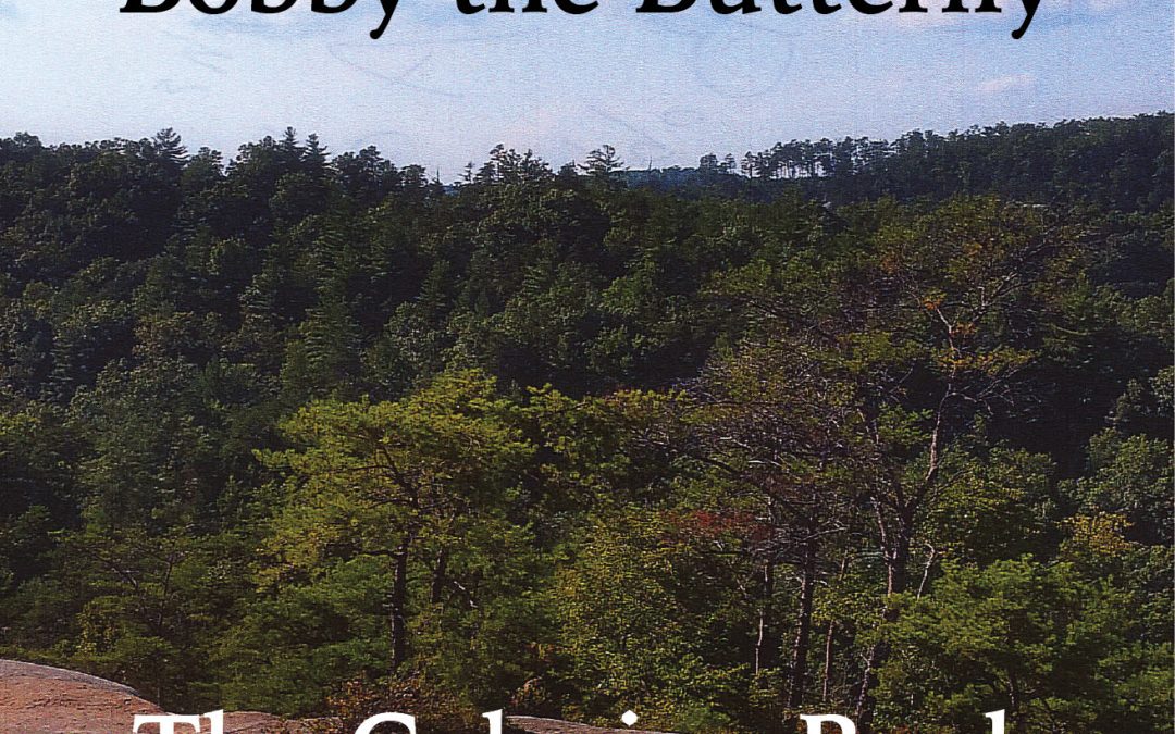 Invitation to Bobby the Butterfly