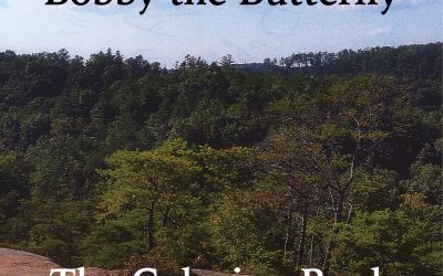 Invitation to Bobby the Butterfly
